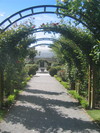 The path to the greenhouses.