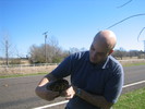 Enzo rescues the turtle from the path of an oncoming truck.