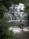 Purakannui Falls.